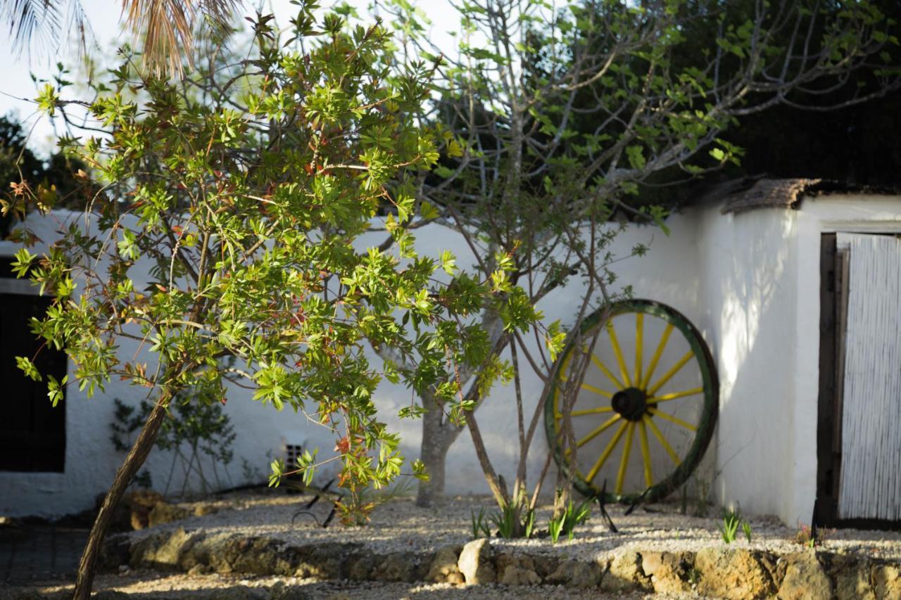 Vila Horizonte Bed & Breakfast Carvoeiro  Dış mekan fotoğraf